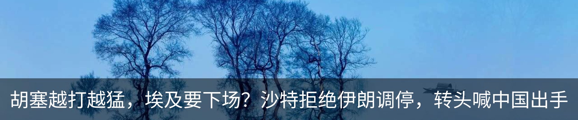 新闻动态